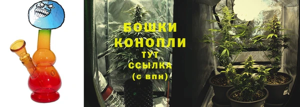 прущие крисы Богородск