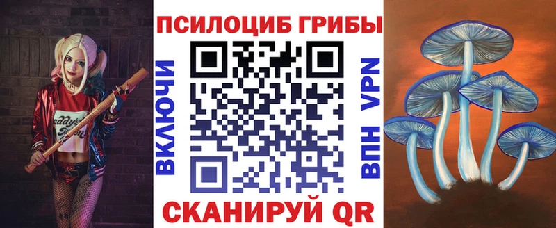 darknet Telegram  цена   Болгар  Галлюциногенные грибы GOLDEN TEACHER 